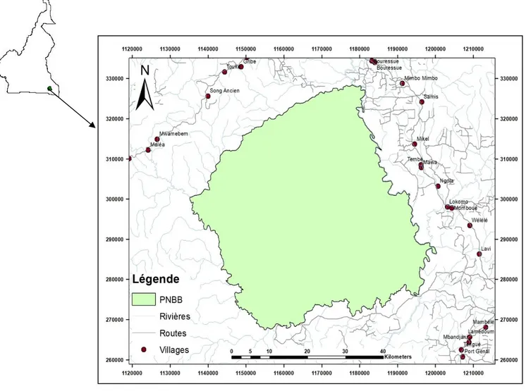 Fig. 1.  Localisation du PNBB dans la région du Sud-Est Cameroun 