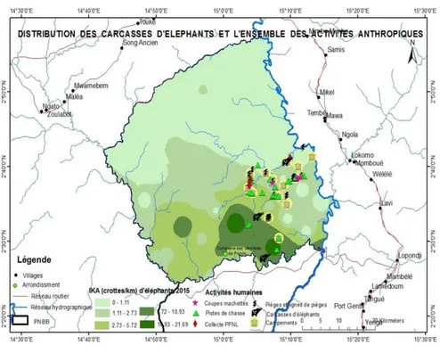 Fig. 8.  Carte de distribution des carcasses d’éléphants et des activités anthropiques dans la zone d’étude 