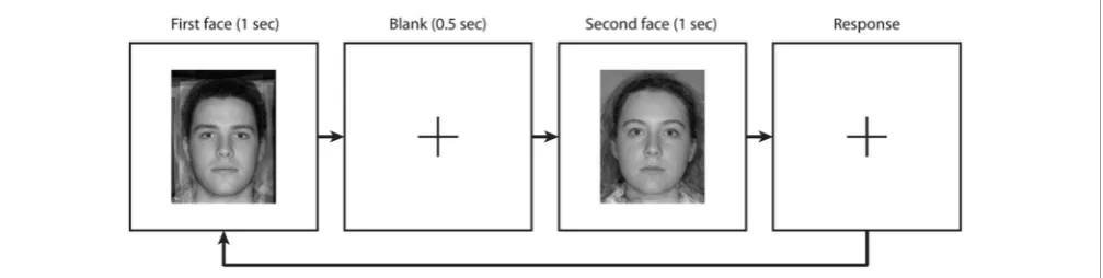 FIGURE 3 | Overview of the experimental procedure used to derive the PSE of the male face in experiment 3.