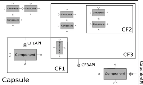 Figure 5: A capsule with some CFs and components.