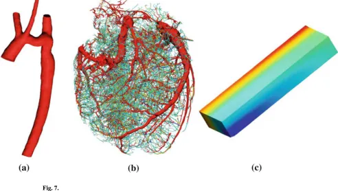 Fig. 7. Human aorta (