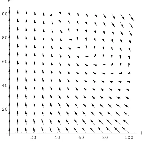 Figure 2: Flat Steady States at the POMP