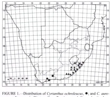 FIGURE  1.— Distribution  o f Cyrtanthus ochroleucus,  • ;   and  C.  aure­