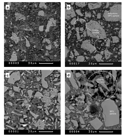Fig. 2 Backscattered electron images of samples: (a) pure OPC, (b) OPC with 7.0 wt% 