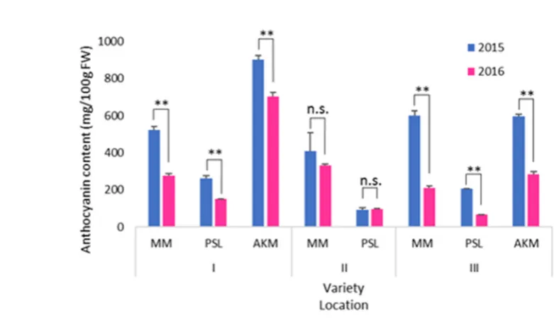 Figure 1. Total anthocyanin content in purple sweetpotatoes cultivated in different locations in 2015 and 2016