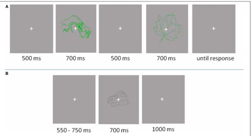 FIGURE 2 | Trail outlooks. (A) Baseline experiment: Participants responded if the object was located in the ﬁrst or the second interval
