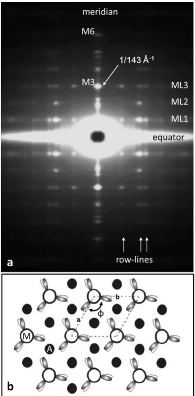 Figure 2: (a) The low-angle X-ray diffraction pattern 