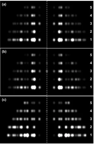 Figure 5:  (a) Simulated X-ray diffraction pattern using the observed corrected intensities from bony fish muscle (cf
