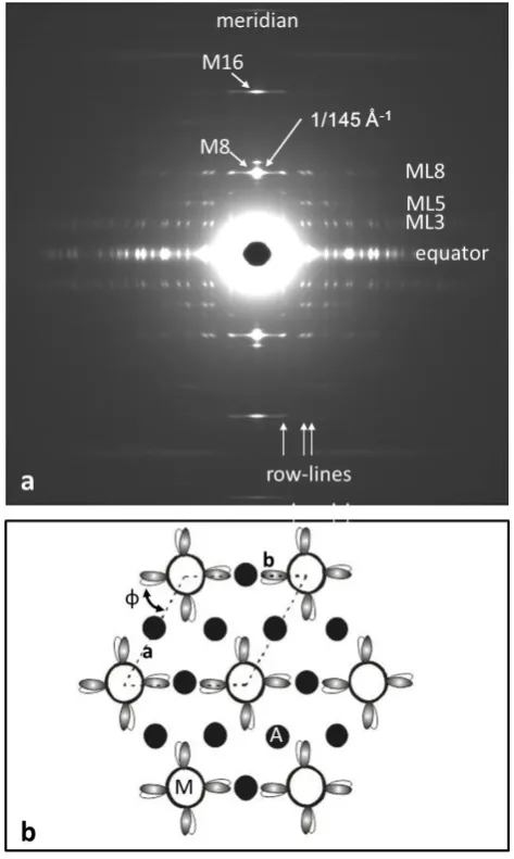 Figure 6:  (a) The observed low-angle X-ray 