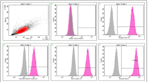 Fig. 2 Representative sample of BM-MSCs. A Osteogenic and B adipogenic differentiation