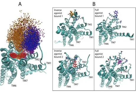 Figure 8. Conformational dynamics of residue F222 in ECL2 identified by the positions of the epsilon carbon atom Cε of F222 in the simulation trajectories