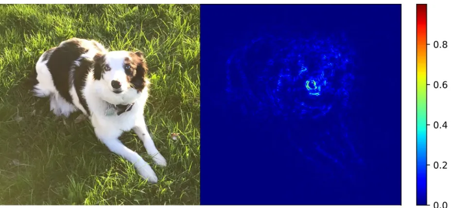 Figure 5 shows an example of this type of sensitivity analysis applied to a traditional image classification