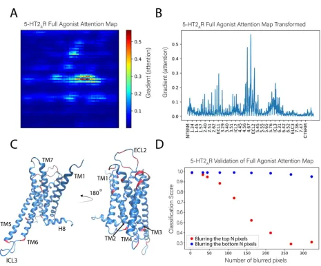 Figure 6: Identification of the molecular determinants of the classification of the full agonist bound to the 5-HT2AR