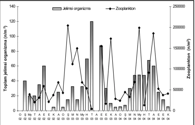 Figure 5. Seasonal distribution of abundance of gelatinous organisms in vertical tows and water temperature 