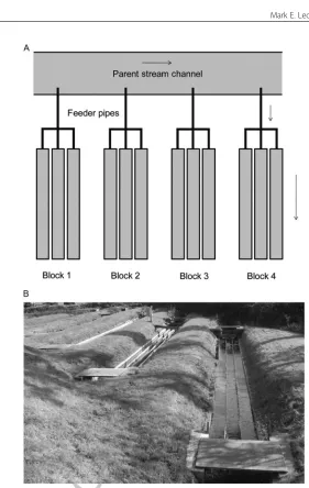 Figure 1Schematic representation (A) and photographic image (B) of the stream meso-
