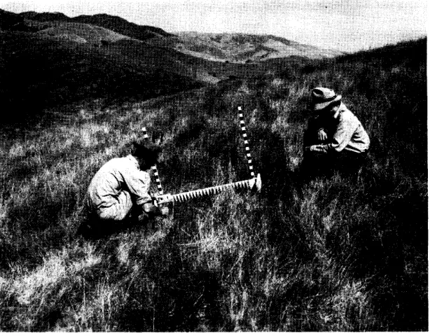 FIGURE 2. Former open ponderosa pine bunchgrass :ondition *eproduction. range now closing in with tree When such changes occur grazing values of the areas are lowered but may still be classed as satisfactory