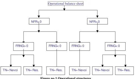 Figure no.1 Operational structures 