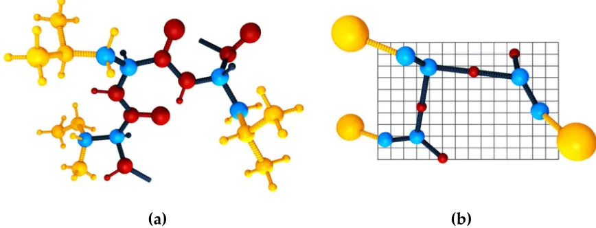 Figure 1. A three-residue protein fragment in: all-atom (a) and CABS model (b) representation