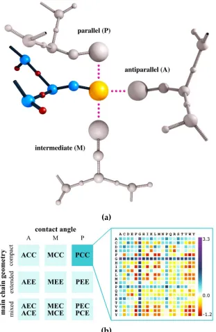 Figure 2. Key elements of a residue-residue interaction term in the CABS model force field