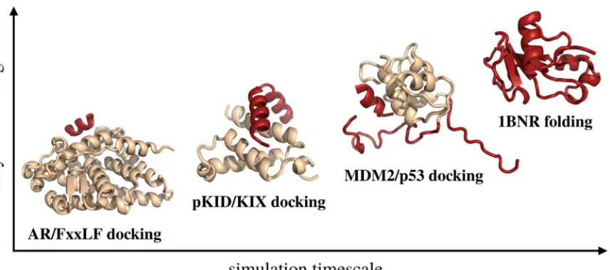 Figure 4. Presentation of the modeling cases discussed in this work. The modeled systems are arranged according to the size of the fully flexible fragment of the modeled system and the effective timescales required to observe their motions