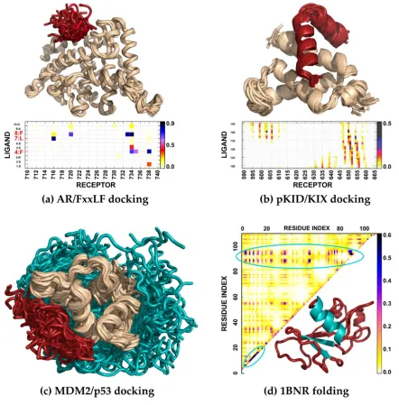Figure 5. Case studies of modeling disordered or unfolded structures of proteins with CABS-based tools