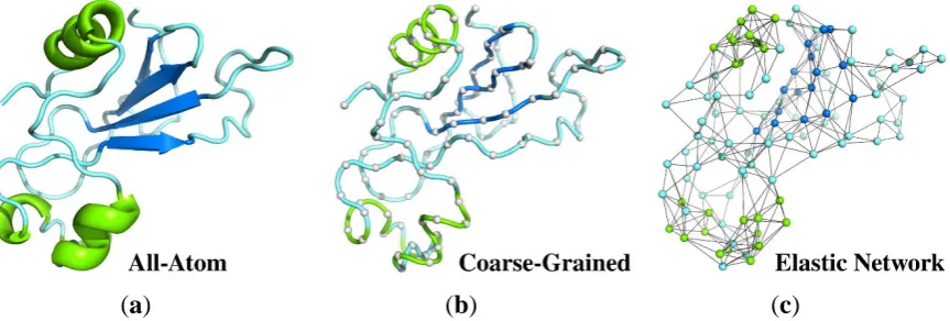 Figure 1. Different representations of protein structure (PDB code: 1a2p) used as a reference state for structure dynamics studies