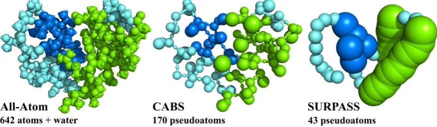 Figure 2. All-atom (AA) and two CG representations of protein structures. For a small protein (PDB code: 1CRN), consisting of 46 residues the AA representation needs explicit treatment of 642 atoms (+ a large number of solvent atoms when an explicit solven