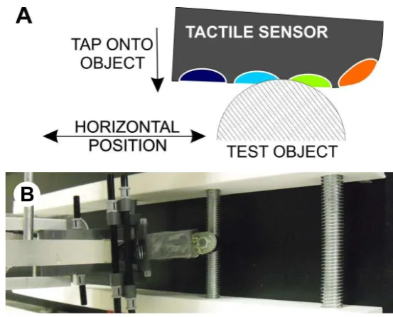 Fig. 1. Experimental setup. (A) Schematic of tactile sensor contacting a cylindricaltest object