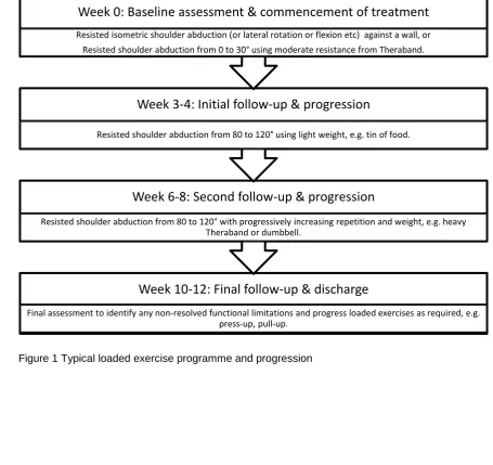 Figure 1 Typical loaded exercise programme and progression 