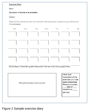 Figure 2 Sample exercise diary 