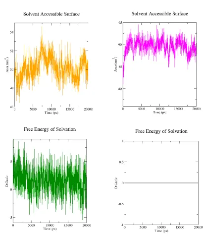 Figure 10:  Solvent accessible surface area (SASA) analysis of crystal structure of REV and 