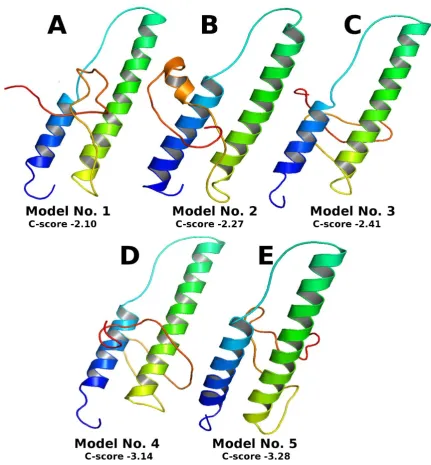 Figure 2:  Top 5 final models predicted by I-TASSER 