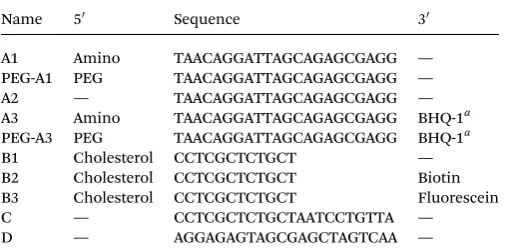 Table 1Sequences and modiﬁcations of oligonucleotides used