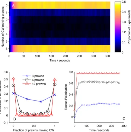 Figure 4. Simulation results for mean-field model MF. (A) Proportion of six-prawn simulations (number of prawns moving CW over time