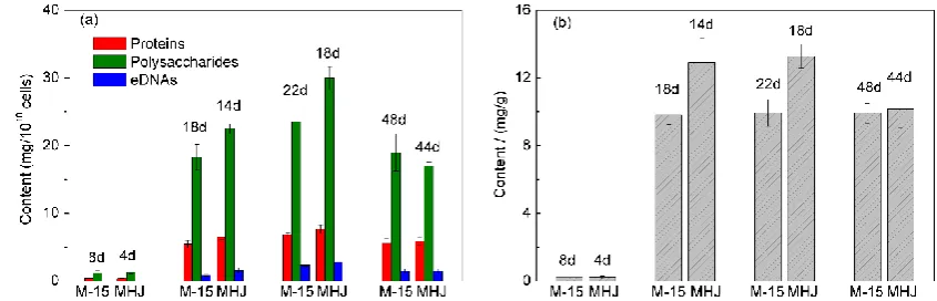 Figure 7. Variations of EPS components and ferric iron on the mineral surface in groups M-15 and MHJ during chalcopyrite bioleaching