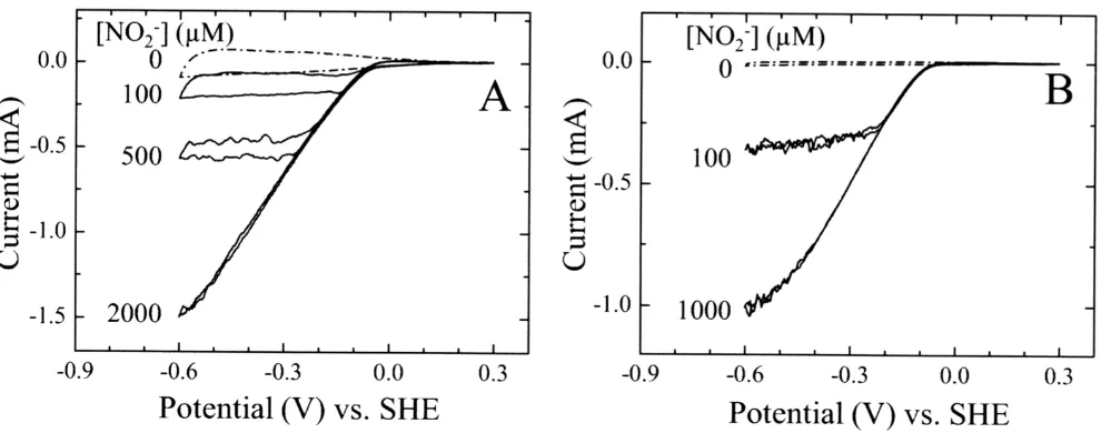 Fig. 2. Baseline corrected CVs of NrfA adsorbed on mesoporous, nanocrystalline SnO2electrodes at the indicated nitrite concentrations.Electroactive coverage of NrfA: (A) 0.56 nmol/electrode and (B) 0.02 nmol/electrode
