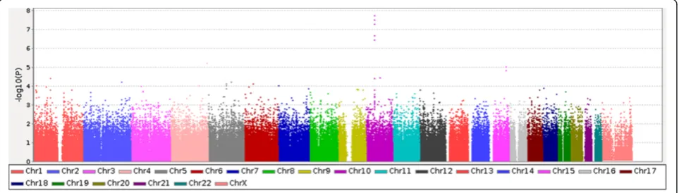 Figure 1 Graphical summary of the genome wide TDT on the first population of 53 trios used as stage 1 association