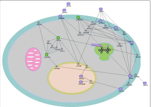 Figure 5 Sub-network that links disease genes to the new, validated genes found in this work by the application of the programSNOW (see Materials and Methods)
