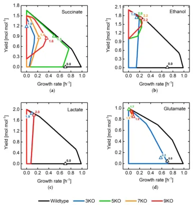 Figure 11. Yield spaces of wildtype as well as mutant E. coli strains optimized for the overproduction of succinate (a), ethanol (b), lactate (c) and glutamate (d) using a combination of BPCY, growth-coupling and production rate at maximal growth rate as t