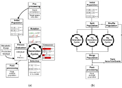 Figure 1: (a) Scheme of a basic GA. (b) Illustration of the parallelization method. 