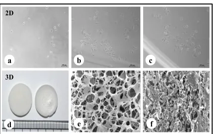 Figure 1 2D