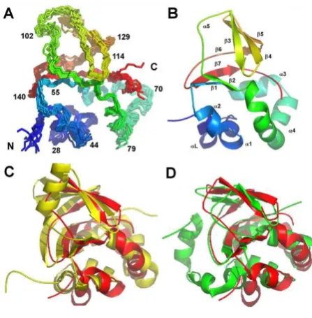 Fig. 3. Adherence ofinserted on pRK415. Standard deviation derived from nine replicate samples