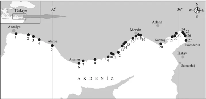 Şekil 1. Verilerin alındığı balıkçı merkezleri (Antalya: 1-5, Mersin: 6-19, Adana: 20-23, Hatay: 24-