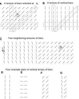 Figure 6: Examples of the two dimensional textures and their interactions. A:tical array of horizontal arrays of bars, or an oblique array of oblique arrays oftity, one can calculate effective connectionsbars