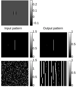Figure 1: A reduced model consisting of symmetrically coupled cells tuned to ver-tical orientation (θ = 0)