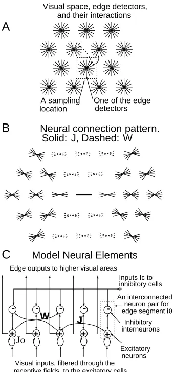 Figure 2: A schematic of the minimal model of the primary visual cortex. A:inputs are sampled in a discrete grid by edge/bar detectors, modeling receptiveﬁelds (RFs) for V1 layer 2-3 cells