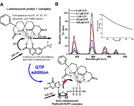 Fig. 1 Apparent mode of action of the label-free nucleotide sensor. A) Tb(III)-N1 forms a luminescent Probe 1 complex with antenna 1 in neutral or acidic aqueous solution