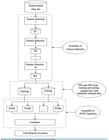 Figure 5. Architecture of the experimental model.                                       