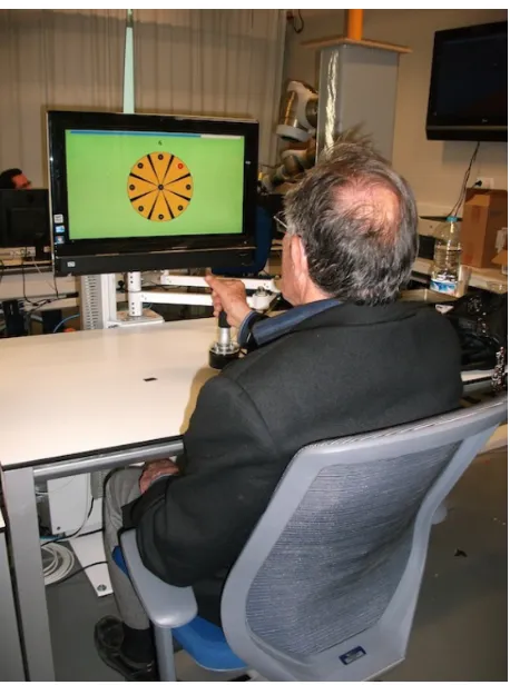 Figure 3 Targets and feedback presented to the participant using the REVIRE software.