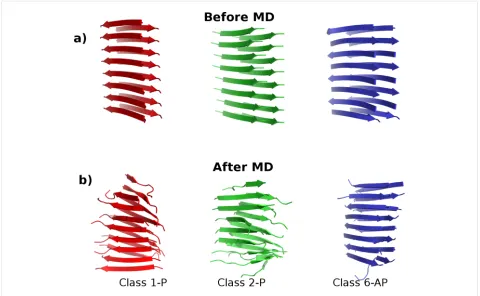 Figure 1: The three polymorphs of SNNFGAILSS sequence fibrils in the Class1-P (red), Class2-P (green) and Class6-AP (blue) symmetry-packingclasses